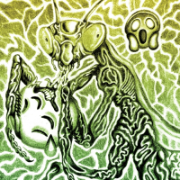 Пиво Mante Trolligieuse