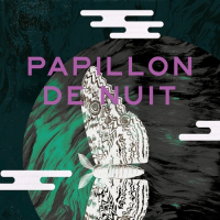 Пиво Papillon De Nuit - 4AM