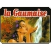 Пиво La Gaumaise Brune