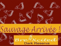 Пиво Sauvage Arrivée! Brettsxcited Dark Reserva