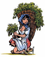 Пиво La Botteresse Ambrée