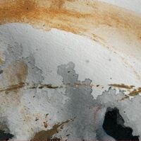 Пиво CHEMIN DE TRAVERSE