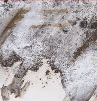 Пиво GROSSE COUPURE Пиво GROSSE COUPURE