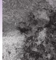 Пиво SAISON MAISON #2