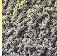 Пиво SURETTE #1 Пиво SURETTE #1