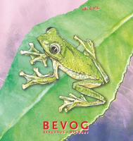 Пиво Extinction Is Forever!: Anaimalai Flying Frog Пиво Extinction Is Forever!: Anaimalai Flying Frog