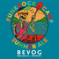Пиво Punk Rock Camp Summer Ale