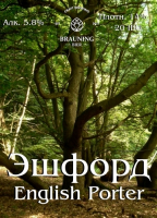 Пиво Ashford (Эшфорд)