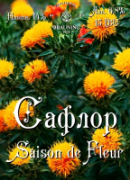 Пиво Saflor (Сафлор)