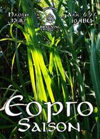 Пиво Sórgo (Со́рго)