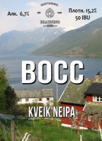 Пиво Voss (Восс)