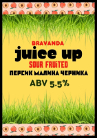 Пиво Juice UP Персик Малина Черника Пиво Juice UP Персик Малина Черника