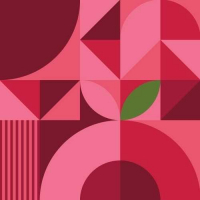 Пиво Raspberry Berliner Weisse