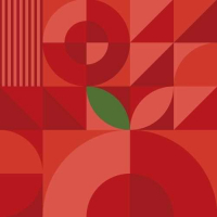 Пиво Tomato Gose Пиво Tomato Gose