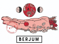 Пиво Berjum - Vild