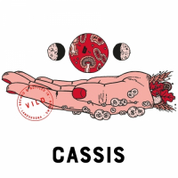 Пиво Cassis (2018, Vild) Пиво Cassis (2018, Vild)