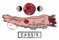Пиво Cassis (2019, Vild) Пиво Cassis (2019, Vild)