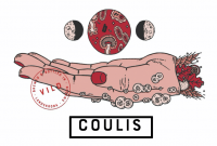 Пиво Coulis - Vild