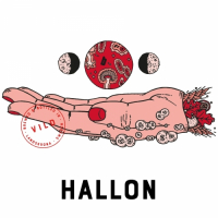 Пиво Hallon (2018, Vild) Пиво Hallon (2018, Vild)