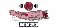 Пиво Purpur - Vild