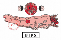 Пиво Rips - Vild