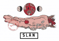 Пиво Slån - Vild Пиво Slån - Vild
