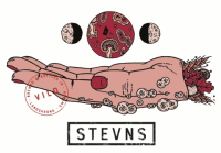 Пиво Stevns - Vild