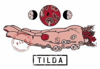 Пиво Tilda - Vild