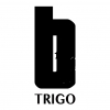 Пиво Trigo