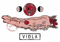 Пиво Viola - Vild Пиво Viola - Vild