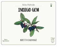 Пиво INDIGO GEM V2