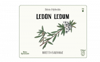 Пиво LEDON LEDUM