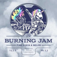 Пиво Burning Jam: Pink Guava & Melon