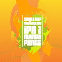 Пиво Brew Fiction New England IPA W/ Mango Puree