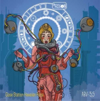 Пиво Gose Station - Hawaiian Pizza