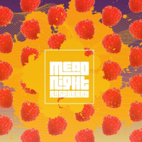 Пиво Mead Night Raspberry
