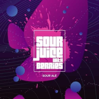 Пиво Sour Juice With Berries