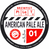 Пиво Pilot Lab: American Pale Ale 01 Пиво Pilot Lab: American Pale Ale 01