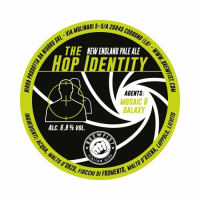 Пиво The Hop Identity - Agents: Mosaic & Galaxy Пиво The Hop Identity - Agents: Mosaic & Galaxy