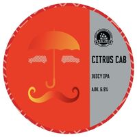 Пиво Citrus Cab