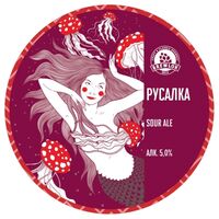 Пиво Raspberries Sour Ale #8