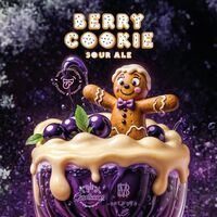 Пиво Berry Cookie