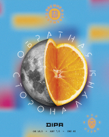 Пиво Обратная сторона луны