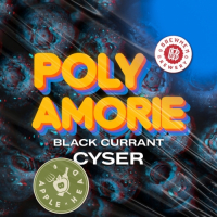 Пиво Poly Amorie Black Currant Cyser