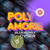 Пиво Poly Amorie Blueberry Cyser