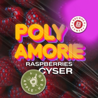 Пиво Poly Amorie Raspberries Cyser Пиво Poly Amorie Raspberries Cyser
