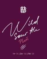 Пиво Wild Sour Ale Plum