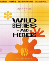 Пиво Wildberries & Herbs Orange-quinine