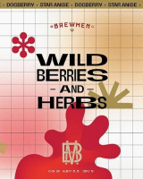 Пиво Wildberries & Herbs Star-anise