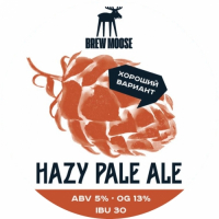 Пиво Hazy Pale Ale